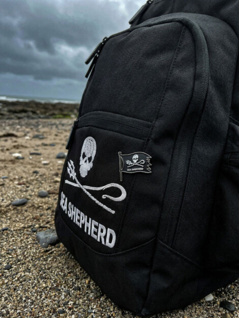 Pin Jolly Roger Drapeau
