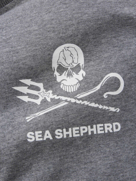 T-shirt Jolly Roger (gris)