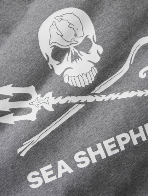 T-shirt Jolly Roger (gris)