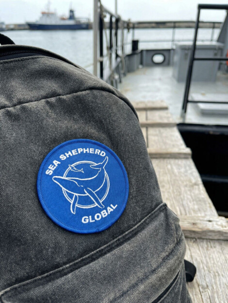 Patch Classic-Logo Global