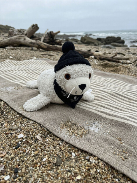 Kuscheltier Robbe
