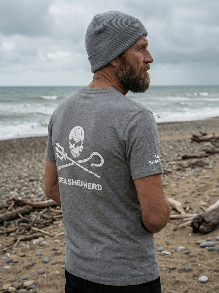 T-shirt Jolly Roger (gris)